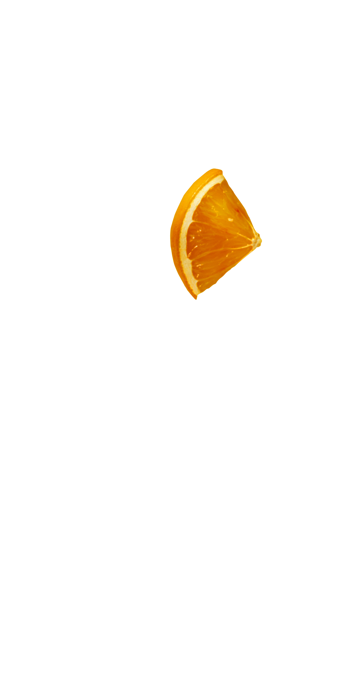gajo