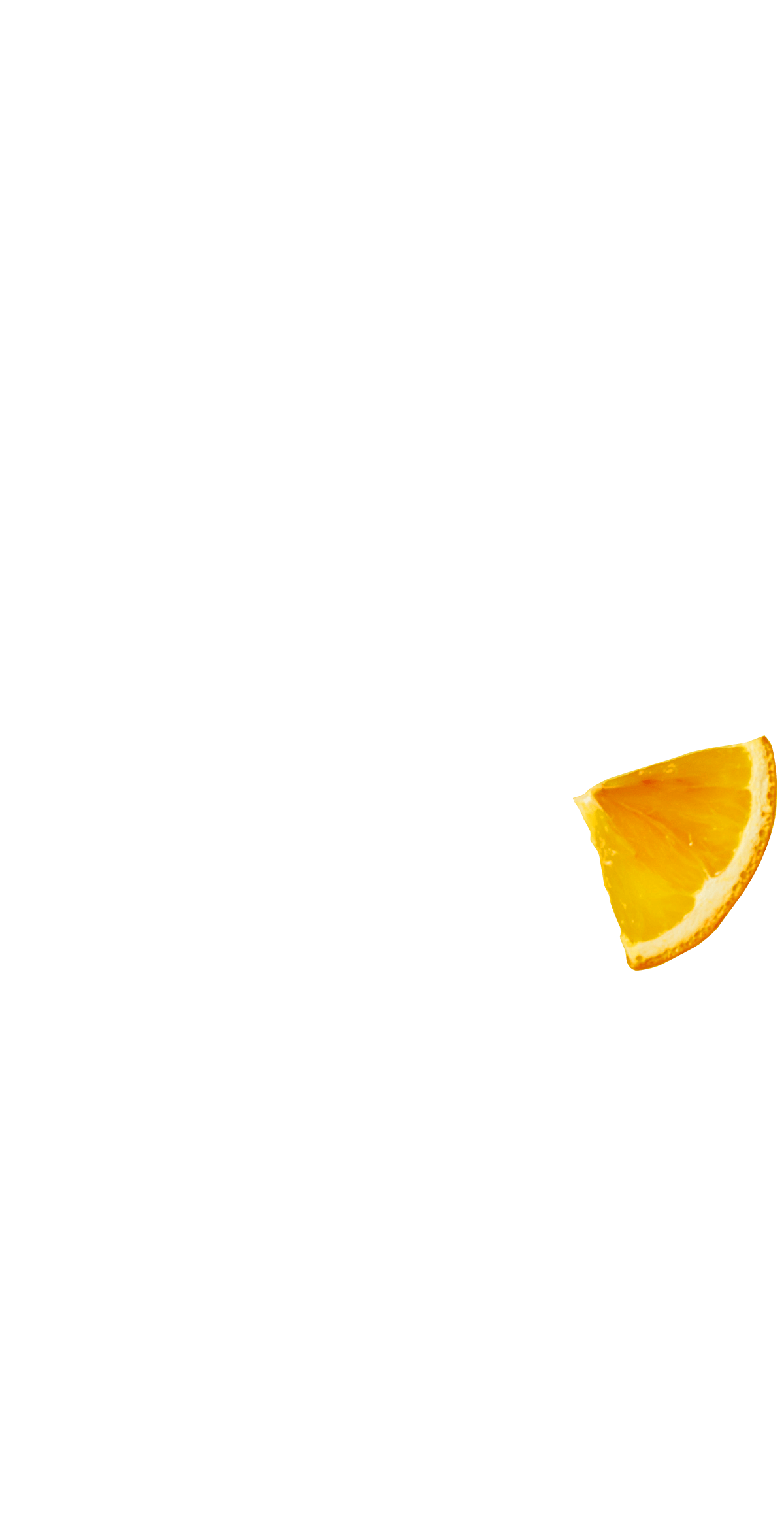 gajo